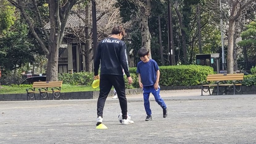 サッカートレーニングの様子（芝生とボール）